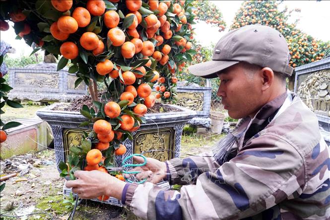 Để hoàn thành tác phẩm 