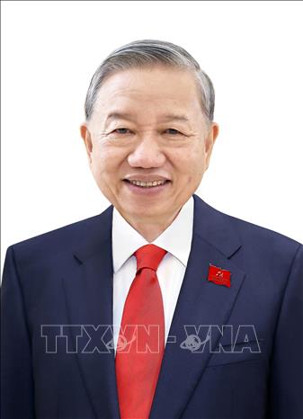 Đồng chí Tô Lâm, Tổng Bí thư Ban Chấp hành Trung ương Đảng khoá XIV. Ảnh: TTXVN