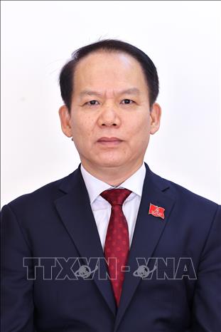 Đồng chí Hoàng Thanh Tùng, Ủy viên Trung ương Đảng, Ủy viên Ban Thường vụ Đảng ủy Quốc hội, Ủy viên Ủy ban Thường vụ Quốc hội, Chủ nhiệm Ủy ban Pháp luật và Tư pháp của Quốc hội khóa XV. Ảnh: TTXVN
