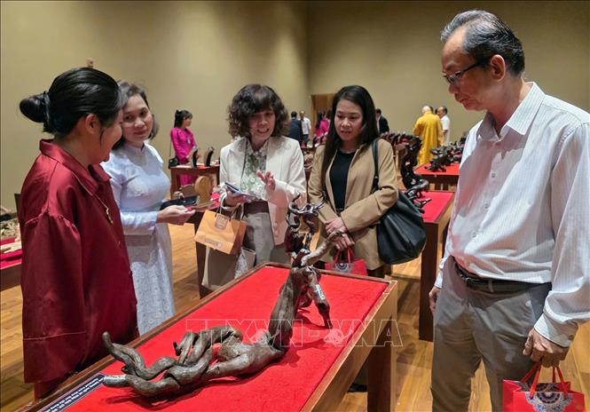 Khách tham quan Triển lãm “Trầm hương xứ Quảng – Hương thơm từ đại ngàn”. Ảnh: Trần Lê Lâm - TTXVN 