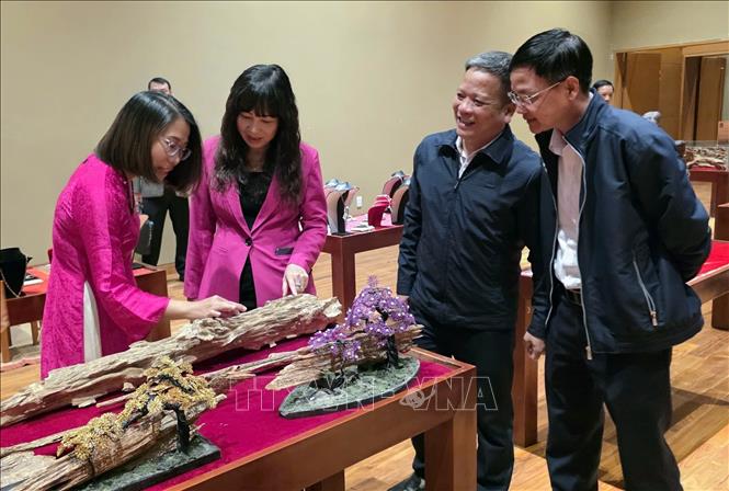 Đại biểu tham quan các sản phẩm trầm hương tại Triển lãm. Ảnh: Trần Lê Lâm - TTXVN 
