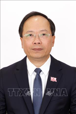 Đồng chí Nguyễn Duy Lâm, Bí thư Tỉnh ủy Hà Tĩnh. Ảnh: TTXVN