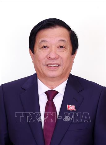 Đồng chí Bùi Văn Nghiêm, Ủy viên Trung ương Đảng, Phó Trưởng Ban Nội chính Trung ương. Ảnh: TTXVN