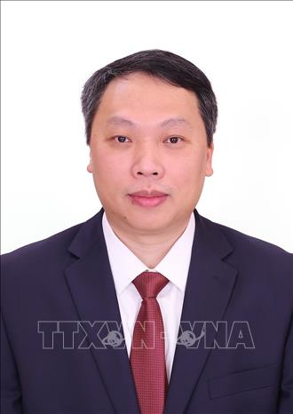 Đồng chí Nguyễn Huy Dũng, Ủy viên chuyên trách Ban Chỉ đạo Trung ương về phát triển khoa học công nghệ, đổi mới sáng tạo và chuyển đổi số. Ảnh: TTXVN