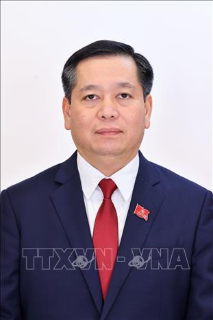 Đồng chí Nguyễn Long Hải, Uỷ viên dự khuyết Trung ương Đảng, Phó Bí thư Thường trực Đảng ủy các cơ quan Đảng Trung ương. Ảnh: TTXVN