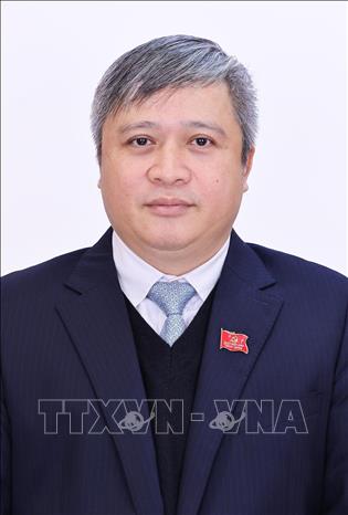 Đồng chí Trần Tiến Hưng, Ủy viên Trung ương Đảng, Phó Chủ nhiệm Ủy ban Kiểm tra Trung ương. Ảnh: TTXVN