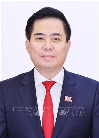 Đồng chí Nguyễn Hoàng Giang, Phó Bí thư Tỉnh ủy, Chủ tịch UBND tỉnh Quảng Ngãi. Ảnh: TTXVN