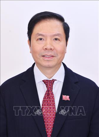 Đồng chí Trịnh Mạnh Linh, Phó Trưởng Ban Tổ chức Trung ương. Ảnh: TTXVN