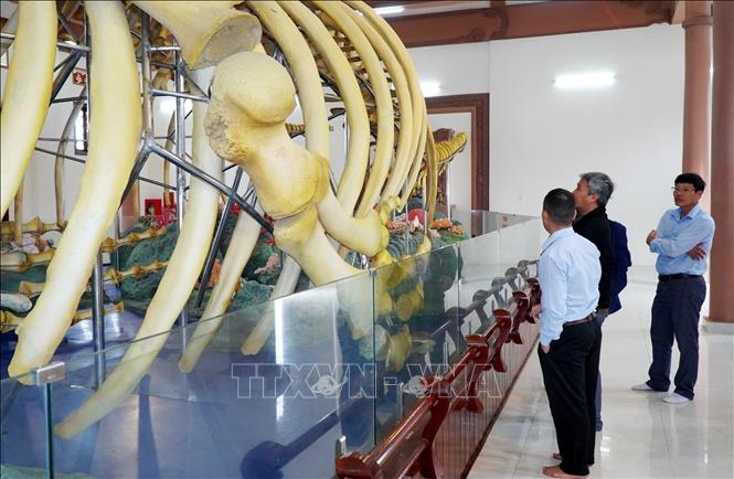 Ngành chức năng Đặc khu khảo sát hiện trạng tìm phương án khắc phục. Ảnh: Lê Phước Ngọc-TTXVN
