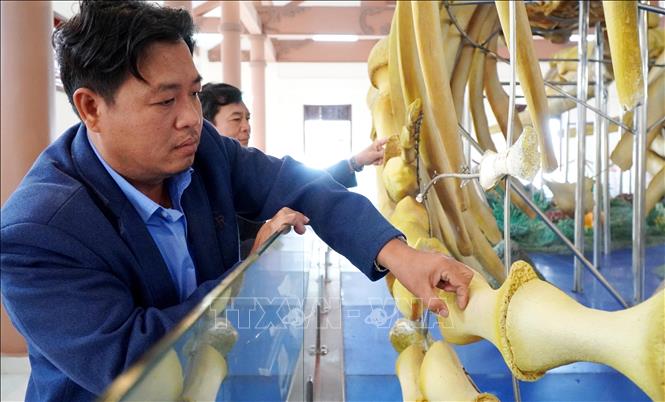 Ngành chức năng Đặc khu Lý Sơn (Quảng Ngãi) khảo sát hiện trạng tìm phương án khắc phục. Ảnh: Lê Phước Ngọc - TTXVN
