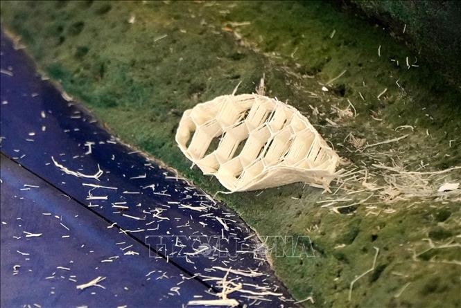 Nhiều vị trí xương sụn phục dựng bị hư hỏng hoàn toàn. Ảnh: Lê Phước Ngọc - TTXVN
