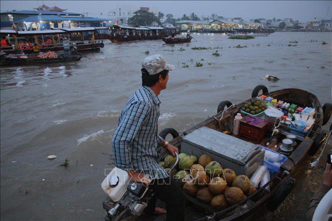 Nhộn nhịp hoạt động giao thương trên chợ nổi Cái Răng. Ảnh: Nguyễn Hằng - TTXVN