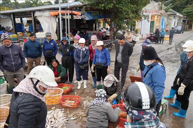 Các chủ thuyền và hộ kinh doanh cá đã chủ động áo ấm và các thiết bị bảo hộ lao động ngày rét. Ảnh: Tiến Vĩnh –TTXVN