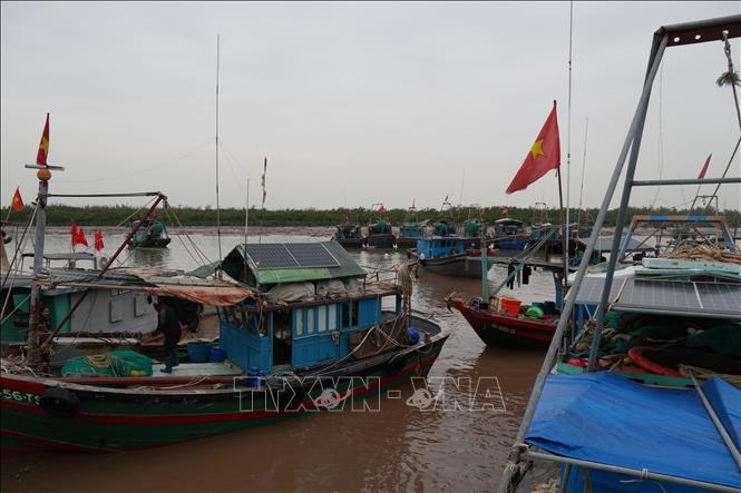 Các tàu, thuyền cập bến cá sau khi đánh bắt hải sản trở về. Ảnh: Tiến Vĩnh –TTXVN