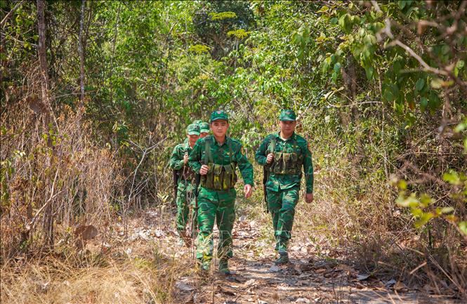 Cán bộ, chiến sĩ Bộ đội Biên phòng Tây Ninh tuần tra nơi tuyến đầu, vững vàng tay súng, giữ bình yên phên dậu Tổ quốc. Ảnh: Giang Phương – TTXVN