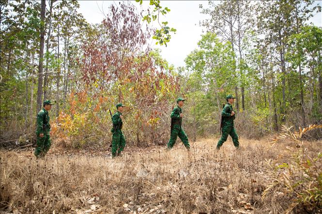 Trên từng cột mốc biên cương, bước chân tuần tra của Bộ đội Biên phòng Tây Ninh góp phần bảo vệ vững chắc chủ quyền quốc gia. Ảnh: Giang Phương – TTXVN