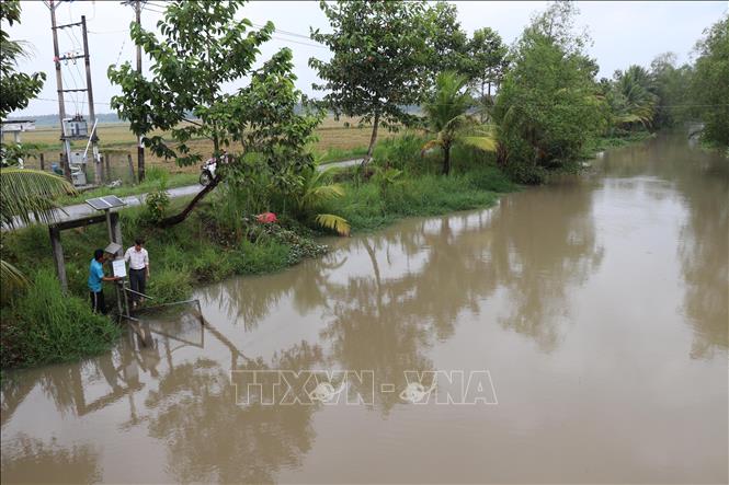 Kênh nội đồng phục vụ nước tưới tiêu cho cánh đồng lúa Cầu Tre, xã Tiểu Cần được lắp đặt hệ thống quan trắc môi trường nước quản lý bằng điện thoại thông minh. Ảnh: Thanh Hòa- TTXVN