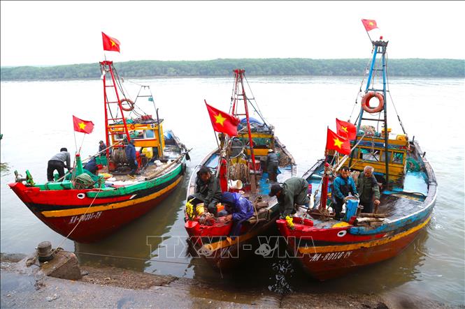 Nhiều tàu, thuyền của ngư dân xóm Yên Thịnh (xã Diễn Châu, tỉnh Nghệ An) cùng cập bến cá Lạch Vạn vào sáng sớm trong thời tiết giá lạnh. Ảnh: Xuân Tiến - TTXVN 