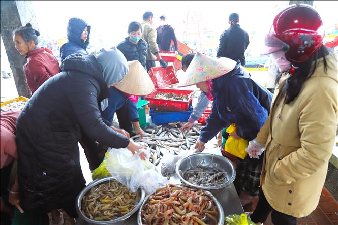 Người dân, tiểu thương lựa chọn, mua hải sản trong chợ đầu mối nằm cạnh Cảng Lạch Vạn (xã Diễn Châu, tỉnh Nghệ An). Ảnh: Xuân Tiến - TTXVN 