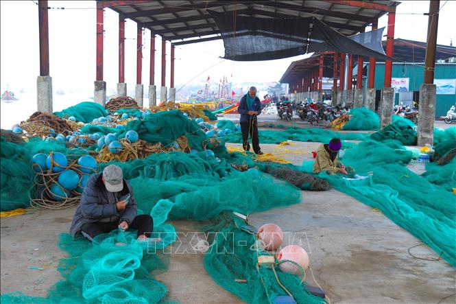 Các ngành, nghề dịch vụ hậu cần nghề cá (đan, vá lưới...) tại các cơ sở cung ứng ở các làng biển cũng tất bật, hoạt động tối đa công suất để đáp ứng nhu cầu của ngư dân. Ảnh: Xuân Tiến - TTXVN 