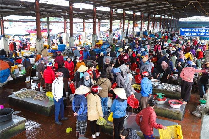 Những ngày gần Tết, chợ Lạch Vạn - chợ đầu mối duy nhất, có quy mô lớn trên địa bàn xã Diễn Châu (tỉnh Nghệ An) chuyên cung cấp các loại hải sản đã tất bật, đông người đến bán, buôn ngay từ sáng sớm. Ảnh: Xuân Tiến - TTXVN
