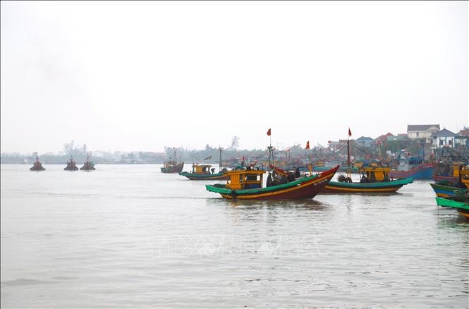 Các bến bãi, khu neo đậu tàu, thuyền trên luồng tuyến đấu nối với cửa biển Lạch Vạn (xã Diễn Châu, tỉnh Nghệ An) tấp nập cảnh tàu, thuyền ra, vào, cập bến bãi sau hành trình dài ngày vươn khơi khai thác hải sản. Ảnh: Xuân Tiến - TTXVN  