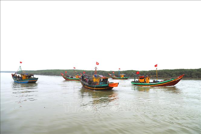 Tàu, thuyền khai thác hải sản của ngư dân các làng biển (xã Diễn Châu, tỉnh Nghệ An) nhộn nhịp, ngược xuôi qua cửa biển Lạch Vạn, ra vào bến bãi, khu neo đậu, vươn khơi. Ảnh: Xuân Tiến - TTXVN  

