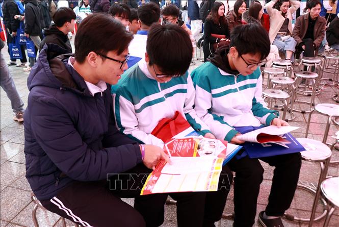 Học sinh Ninh Bình tham khảo các thông tin tuyển sinh từ các trường đại học. Ảnh: Nguyễn Lành - TTXVN 