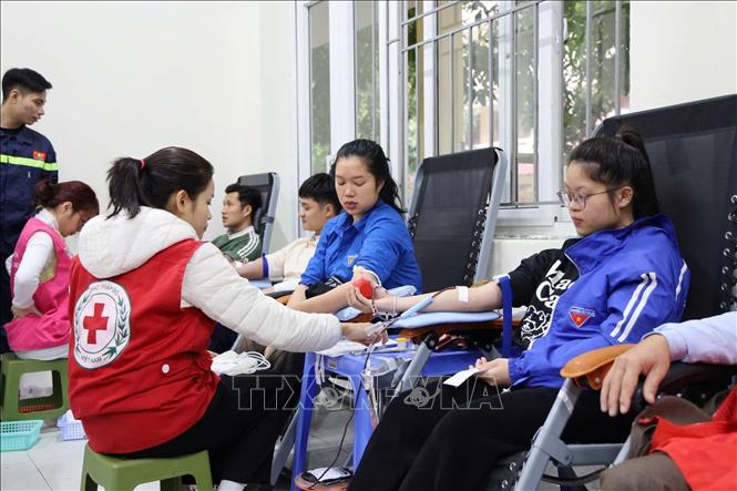 Nhiều đoàn viên thanh niên tham gia hiến máu cứu người. Ảnh: Nguyễn Nam-TTXVN