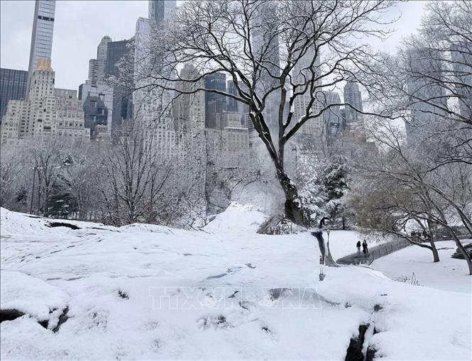 Tuyết phủ kín Công viên Trung tâm tại Manhattan. Ảnh: Thanh Tuấn - Phóng viên TTXVN tại Mỹ