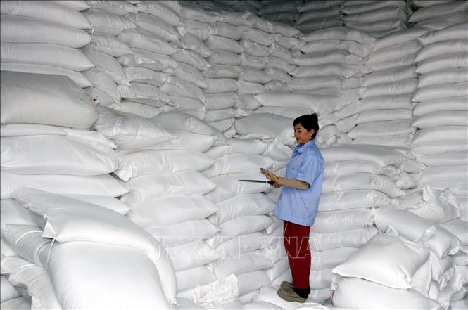 Công ty Cổ phần lương thực Hà Nam, phường Phủ Lý (Ninh Bình) đã dự trữ 30 tấn gạo nếp và 5.300 tấn gạo tẻ các loại để cung ứng cho thị trường Tết. Ảnh: Nguyễn Chinh - TTXVN 