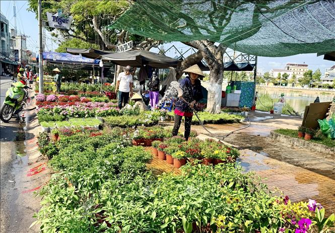 Hoa Xuân xuống phố sớm, làm rực rỡ không gian đô thị Long Xuyên (An Giang) những ngày cận Tết. Ảnh: Thanh Sang-TTXVN