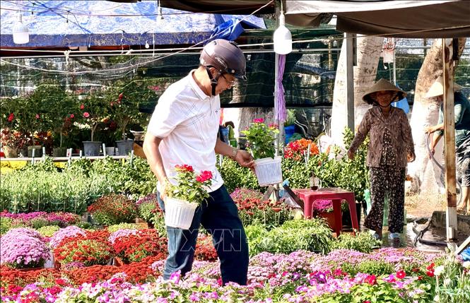 Người dân An Giang mua hoa ngay từ những ngày đầu mở chợ hoa Xuân. Ảnh: Thanh Sang-TTXVN