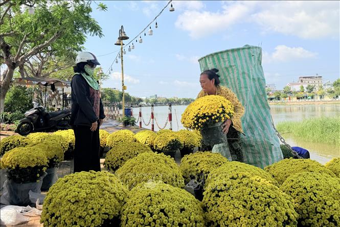 Người dân tham quan, lựa chọn các chậu cúc mâm xôi trang trí nhà cửa đón Tết. Ảnh: Thanh Sang-TTXVN