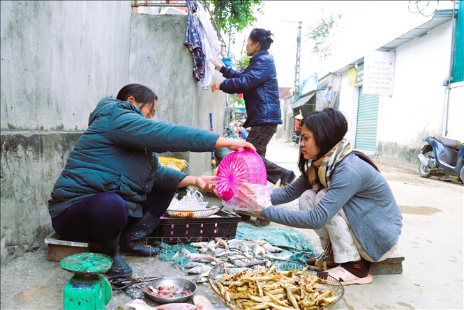 Người dân sơ chế, làm sạch các loại cá biển ngay bên hiên nhà trên những con đường làng. Ảnh: Xuân Tiến - TTXVN 