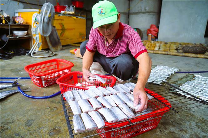 Đàn ông làng biển Diễn Châu (tỉnh Nghệ An) thạo nghề cũng tham gia sơ chế, xếp cá lên giàn rả phụ giúp gia đình. Ảnh: Xuân Tiến - TTXVN 