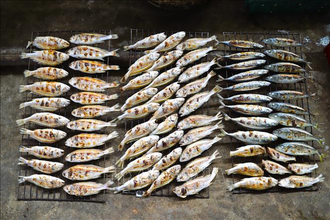 Cá Đù nướng chín bằng lửa than hoa vừa rời lò nướng, được để nguyên trên giàn rả một thời gian cho cá nguội. Ảnh: Xuân Tiến - TTXVN 