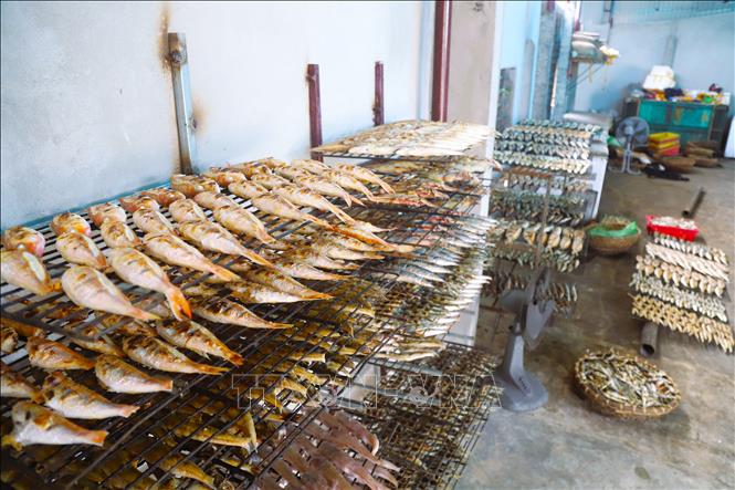 Các loại cá biển sau khi nướng chín được đặt trên những giá nâng chắc chắn để cá mau nguội trước khi xếp vào các dụng cụ đựng chuyên dụng. Khi cá nguội hẳn sẽ được cho vào tủ cấp đông ở nhiệt độ mát thích hợp để cất giữ, bảo quản. Ảnh: Xuân Tiến - TTXVN