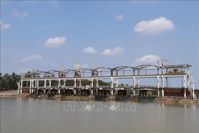 Cống Cái Hóp được đóng kín để ngăn nước mặn xâm nhập nội đồng. Ảnh: Thanh Hòa - TTXVN
