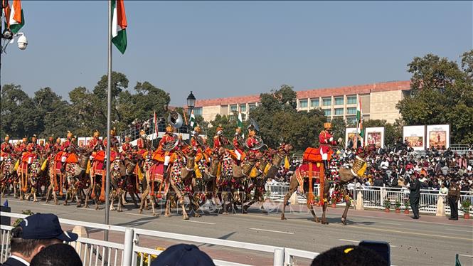 Đội hình lạc đà của Lực lượng An ninh Biên giới (BSF) tại lễ diễu hành. Ảnh: Ngọc Thúy - p/v TTXVN tại Ấn Độ