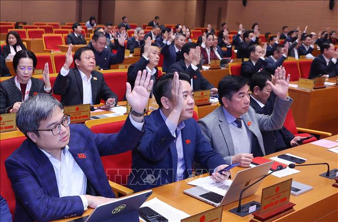 Các đại biểu thông qua chương trình kỳ họp. Ảnh: Văn Điệp – TTXVN