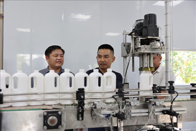 Đại diện Chi cục Phát triển nông thôn TP. Hồ Chí Minh tham quan và kiểm tra dây chuyền chiết rót tinh dầu trao hỗ trợ cho Hợp tác xã. Ảnh: Hoàng Nhị - TTXVN.