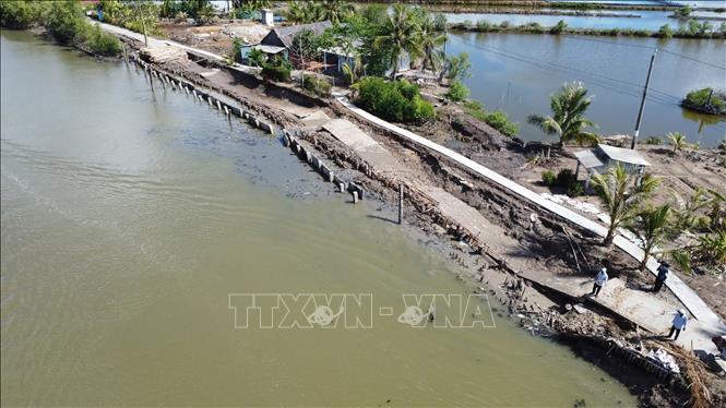 Sạt lở đất ven sông xảy ra trên tổng chiều dài hơn 35 km, làm hư hỏng 26,59 km đường giao thông tại Cà Mau. Ảnh: Huỳnh Anh - TTXVN