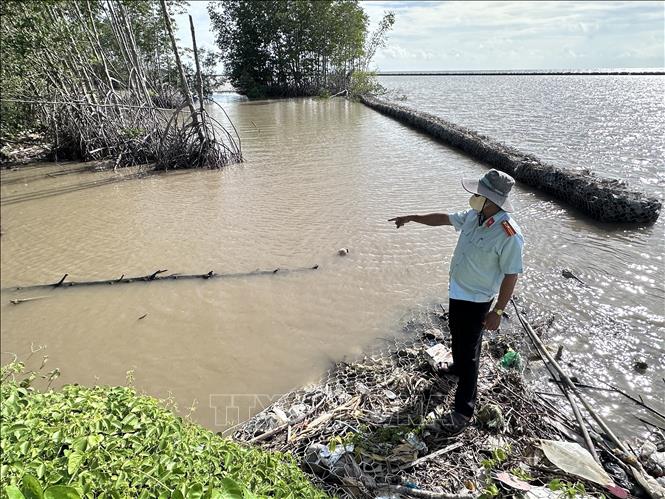 Với đặc thù có 3 mặt giáp biển, Cà Mau đang phải đối mặt với tình trạng sạt lở bờ biển, bờ sông ngày càng gia tăng về quy mô lẫn tần suất. Ảnh: Huỳnh Anh - TTXVN