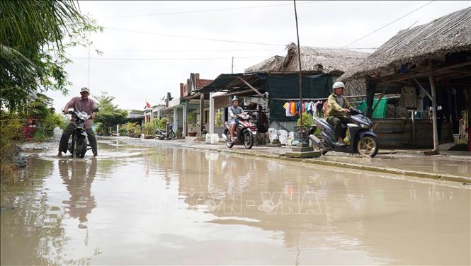 Các kỳ triều cường cao vào cuối năm 2026 được dự báo sẽ có mực nước tương đương với mức đỉnh của năm 2025, đặt ra yêu cầu cao về công tác hộ đê và chống ngập. Ảnh: Huỳnh Anh - TTXVN