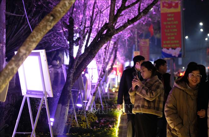 Khách tham quan thích thú thưởng lãm không gian “Đường hoa ánh sáng, nghệ thuật” sau lễ khai mạc tối 27/1. Ảnh: Nguyễn Dũng – TTXVN
