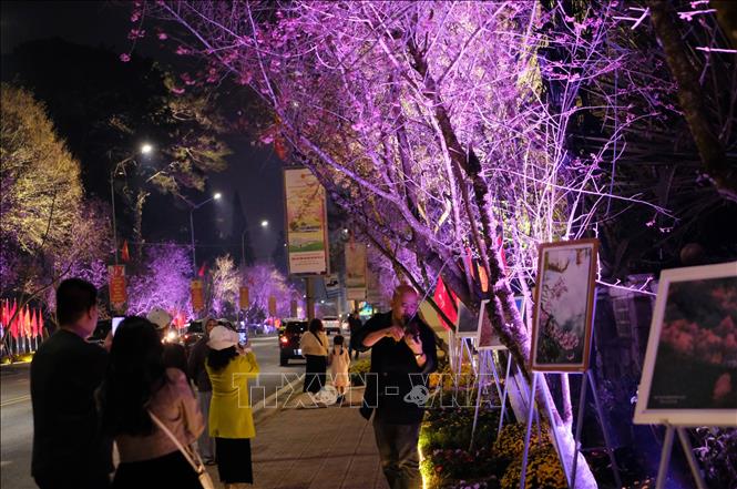 Trong không gian “Đường hoa ánh sáng, nghệ thuật” còn có các nghệ sĩ biểu diễn âm nhạc đường phố phục vụ khách tham quan. Ảnh: Nguyễn Dũng – TTXVN