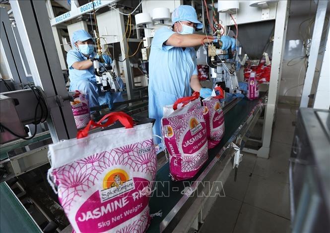 Food Rice Factory Vietnam plans to export over 7.7 million tonnes of rice in 2026 - VNA ...