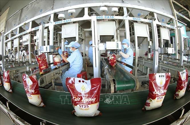 Food Rice Factory Vietnam plans to export over 7.7 million tonnes of rice in 2026 - VNA ...