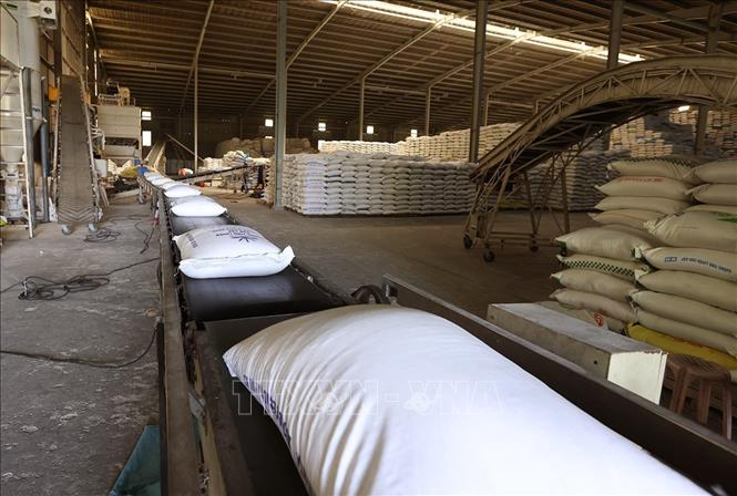 Food Rice Factory Vietnam plans to export over 7.7 million tonnes of rice in 2026 - VNA ...